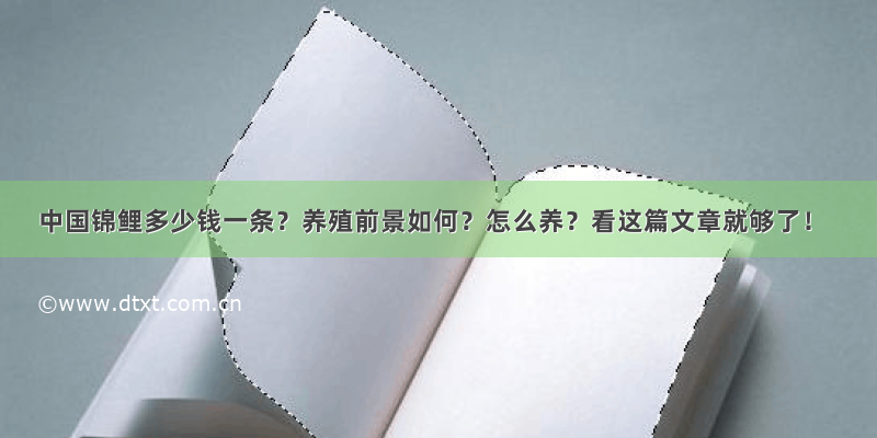 中国锦鲤多少钱一条？养殖前景如何？怎么养？看这篇文章就够了！