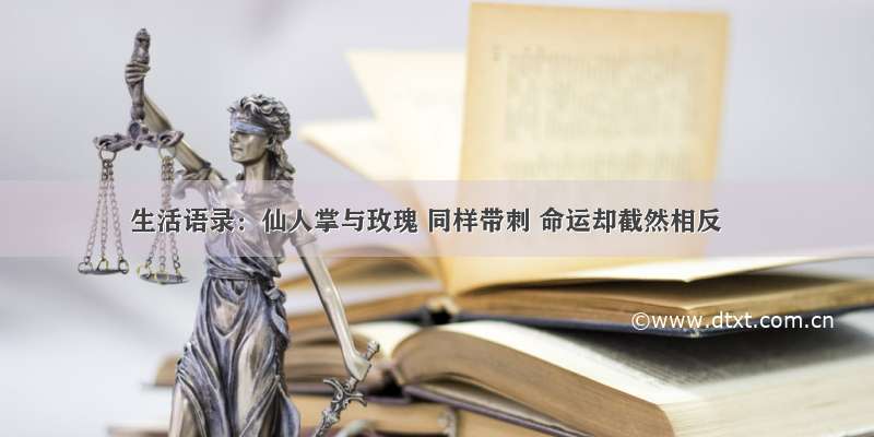 生活语录：仙人掌与玫瑰 同样带刺 命运却截然相反