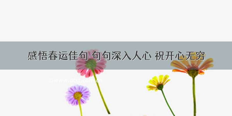 感悟春运佳句 句句深入人心 祝开心无穷