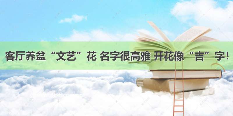 客厅养盆“文艺”花 名字很高雅 开花像“吉”字！