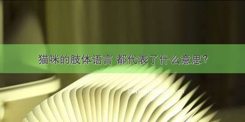 猫咪的肢体语言 都代表了什么意思？