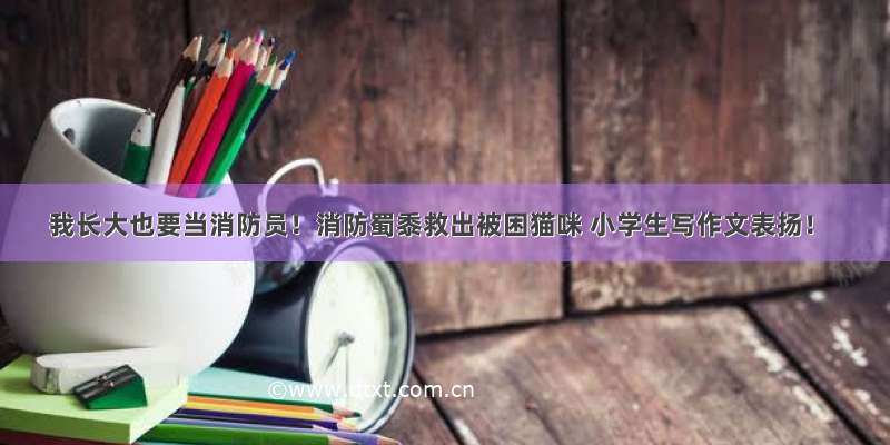 我长大也要当消防员！消防蜀黍救出被困猫咪 小学生写作文表扬！