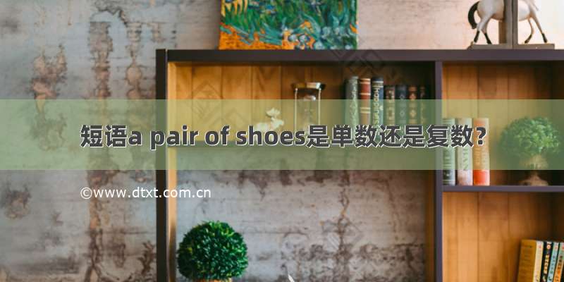 短语a pair of shoes是单数还是复数？