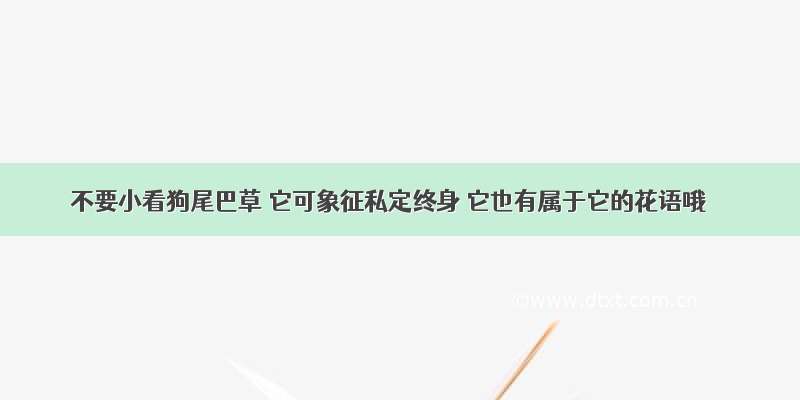 不要小看狗尾巴草 它可象征私定终身 它也有属于它的花语哦