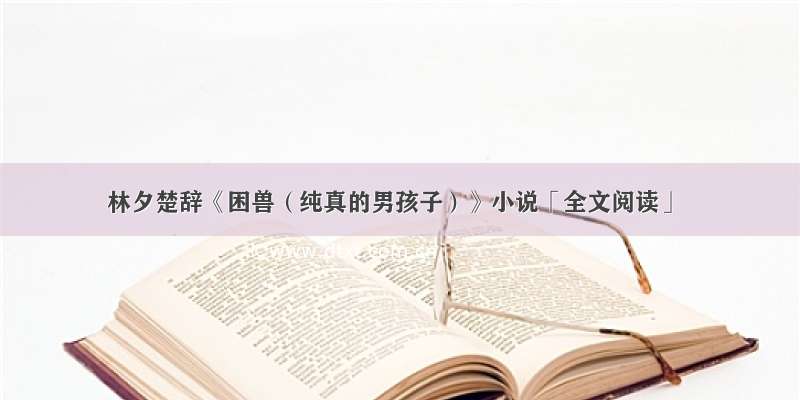 林夕楚辞《困兽（纯真的男孩子）》小说「全文阅读」