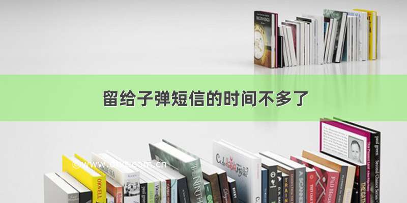 留给子弹短信的时间不多了