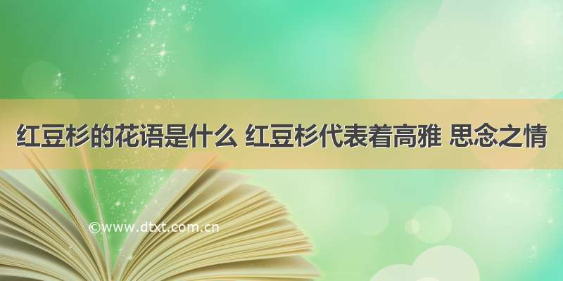 红豆杉的花语是什么 红豆杉代表着高雅 思念之情