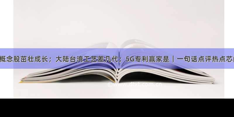 手机概念股茁壮成长；大陆台湾工艺差几代；5G专利赢家是｜一句话点评热点芯闻