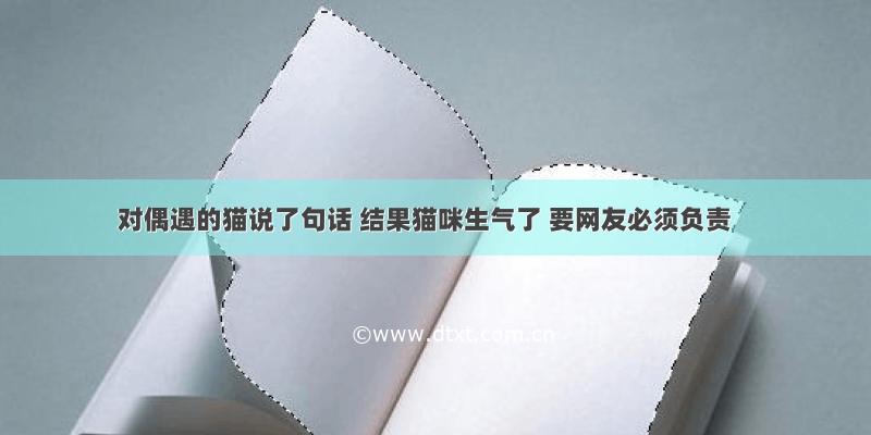 对偶遇的猫说了句话 结果猫咪生气了 要网友必须负责