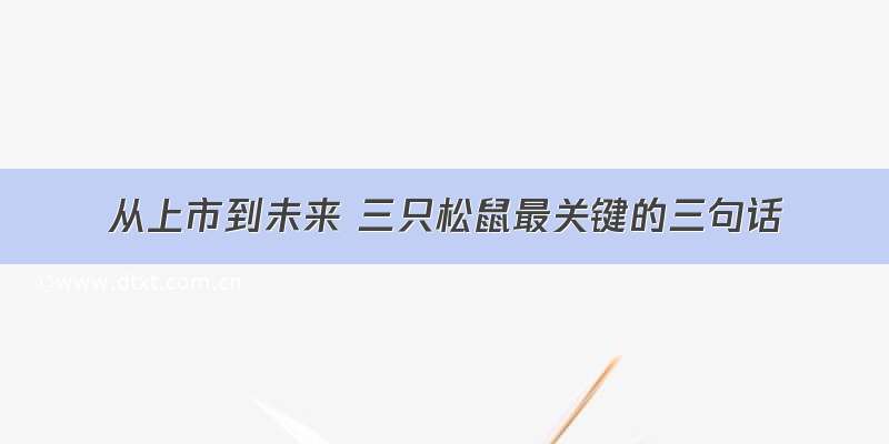 从上市到未来 三只松鼠最关键的三句话