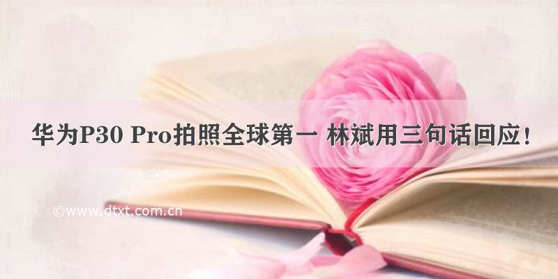 华为P30 Pro拍照全球第一 林斌用三句话回应！