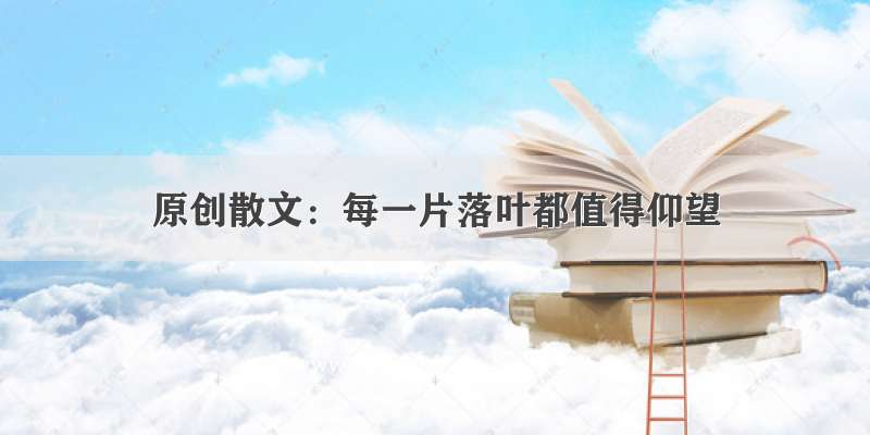 原创散文：每一片落叶都值得仰望