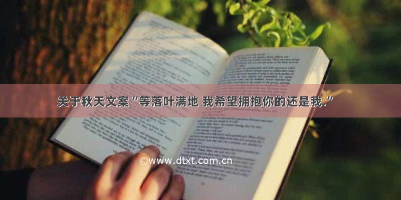 关于秋天文案“等落叶满地 我希望拥抱你的还是我.”