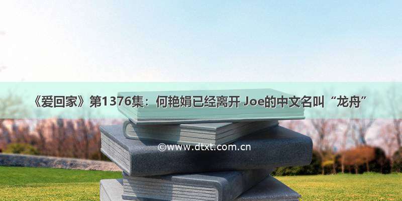 《爱回家》第1376集：何艳娟已经离开 Joe的中文名叫“龙舟”