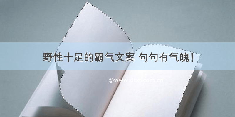 野性十足的霸气文案 句句有气魄！