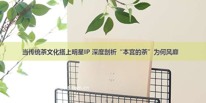 当传统茶文化搭上明星IP 深度剖析“本宫的茶”为何风靡