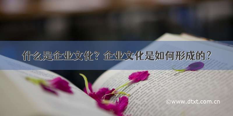 什么是企业文化？企业文化是如何形成的？