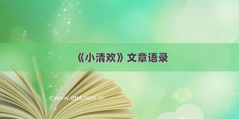 《小清欢》文章语录