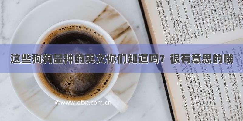 这些狗狗品种的英文你们知道吗？很有意思的哦