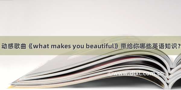 动感歌曲《what makes you beautiful》带给你哪些英语知识？