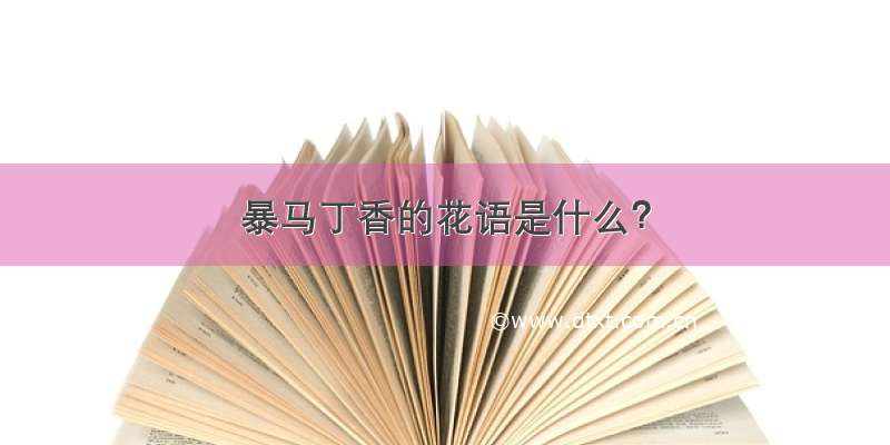 暴马丁香的花语是什么？