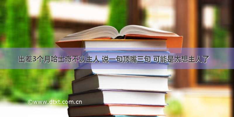 出差3个月哈士奇不认主人 说一句顶嘴三句 可能是太想主人了