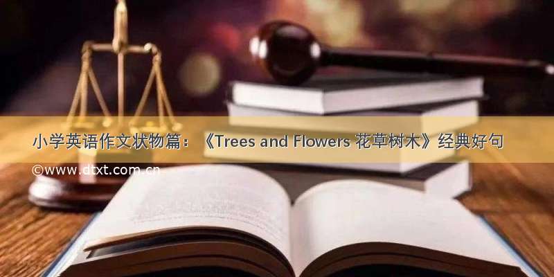 小学英语作文状物篇：《Trees and Flowers 花草树木》经典好句