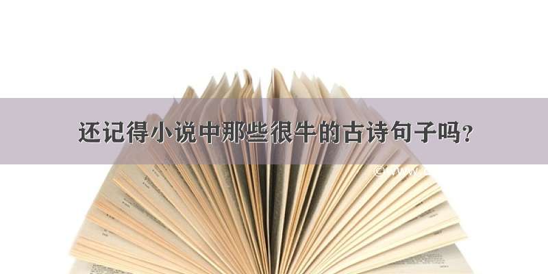 还记得小说中那些很牛的古诗句子吗？