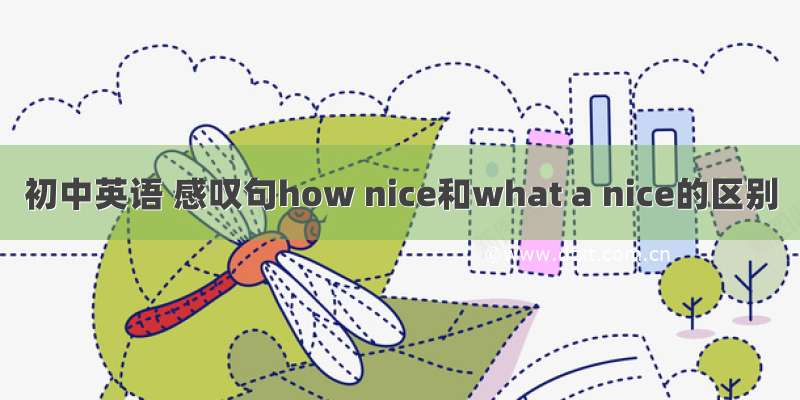 初中英语 感叹句how nice和what a nice的区别