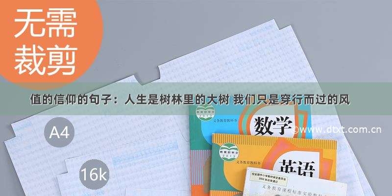 值的信仰的句子：人生是树林里的大树 我们只是穿行而过的风