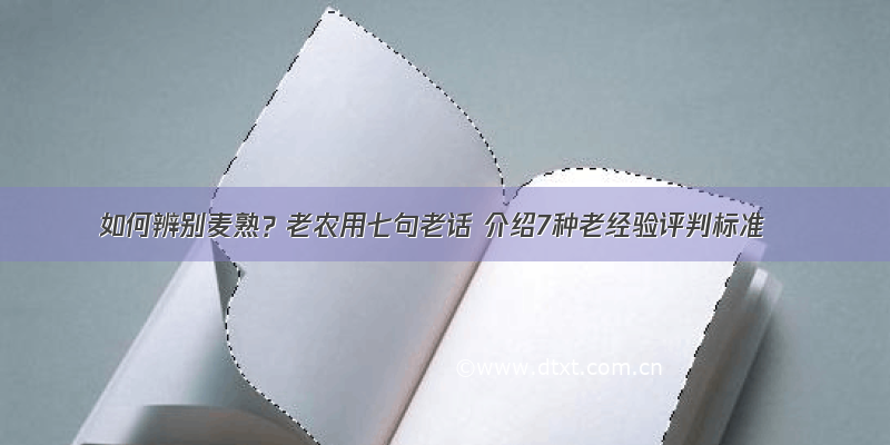 如何辨别麦熟？老农用七句老话 介绍7种老经验评判标准