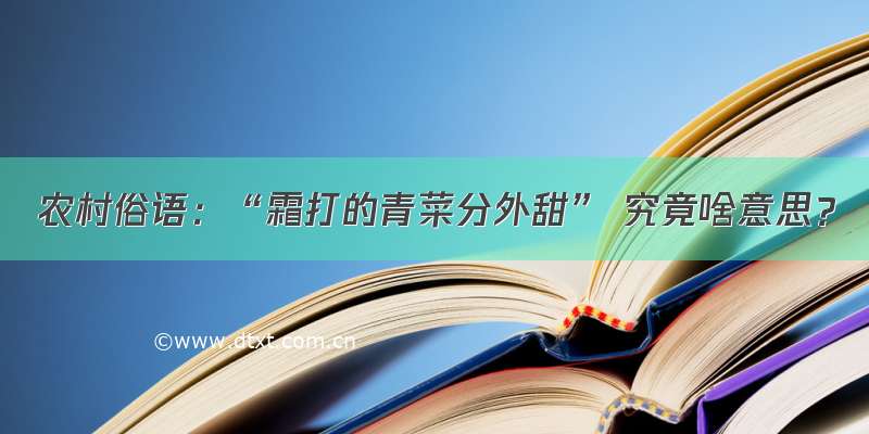 农村俗语：“霜打的青菜分外甜” 究竟啥意思？