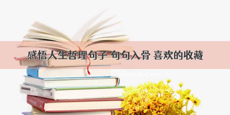 感悟人生哲理句子 句句入骨 喜欢的收藏