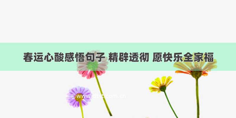 春运心酸感悟句子 精辟透彻 愿快乐全家福