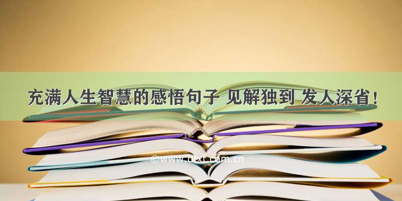 充满人生智慧的感悟句子 见解独到 发人深省！