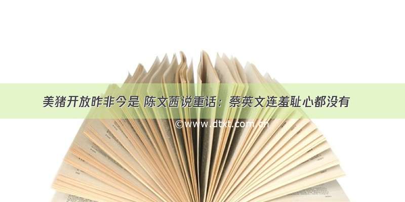 美猪开放昨非今是 陈文茜说重话：蔡英文连羞耻心都没有