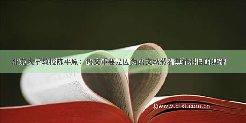 北京大学教授陈平原：语文重要是因为语文承载着其他科目的基础