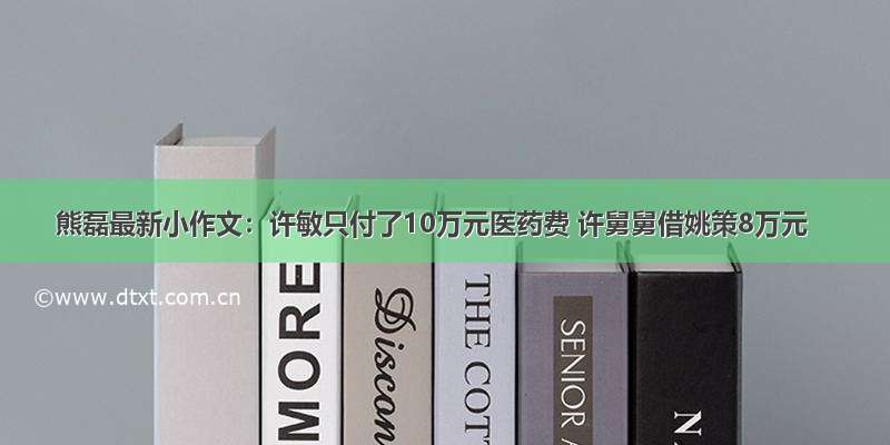 熊磊最新小作文：许敏只付了10万元医药费 许舅舅借姚策8万元