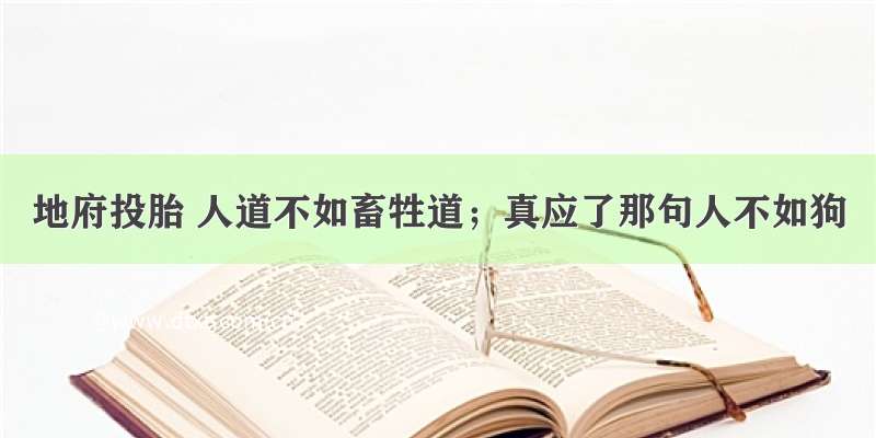 地府投胎 人道不如畜牲道；真应了那句人不如狗