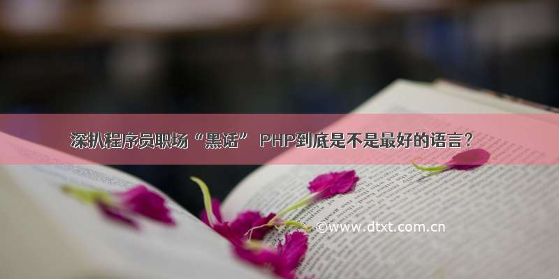 深扒程序员职场“黑话” PHP到底是不是最好的语言？