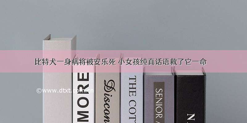 比特犬一身病将被安乐死 小女孩纯真话语救了它一命