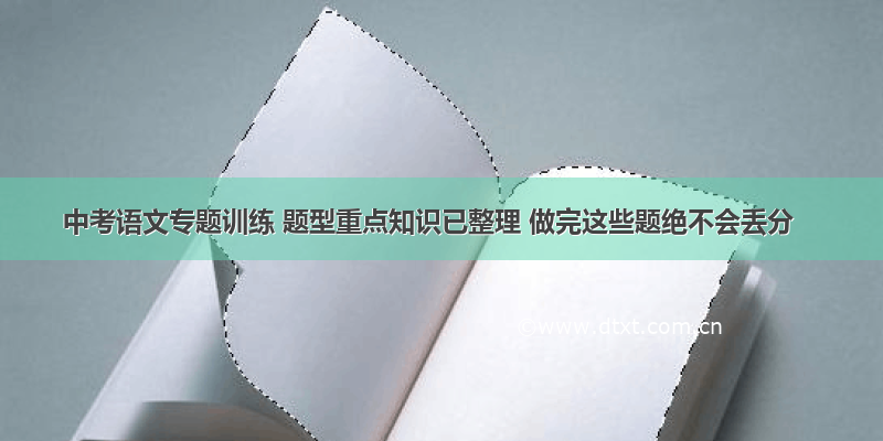 中考语文专题训练 题型重点知识已整理 做完这些题绝不会丢分