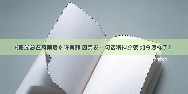 《阳光总在风雨后》许美静 因男友一句话精神分裂 如今怎样了？