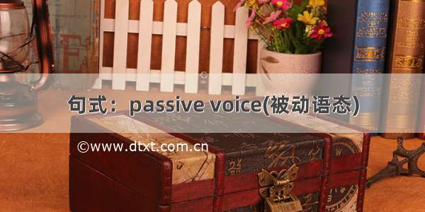 句式：passive voice(被动语态)