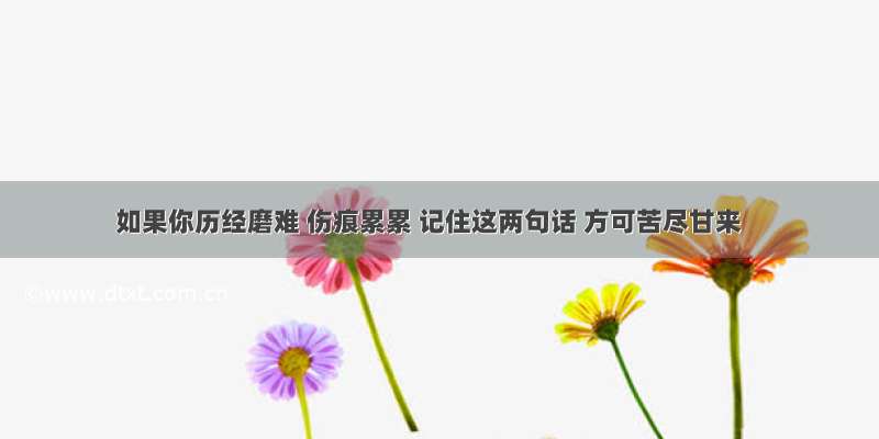 如果你历经磨难 伤痕累累 记住这两句话 方可苦尽甘来