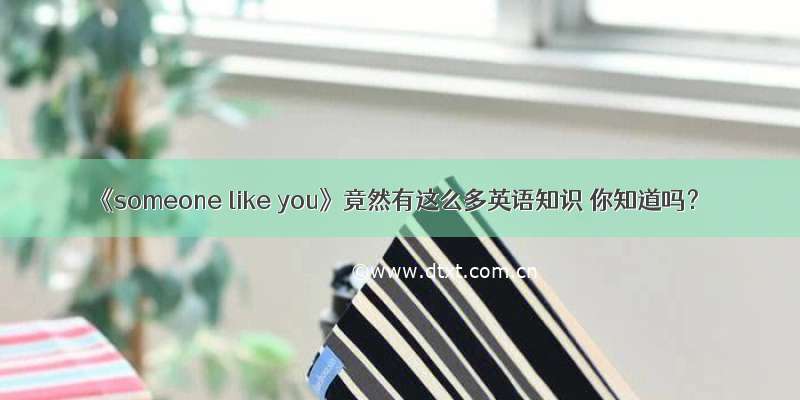 《someone like you》竟然有这么多英语知识 你知道吗？