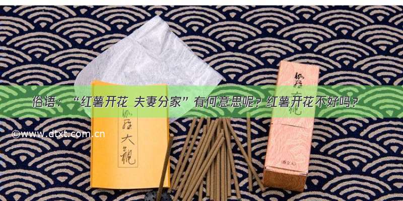 俗语：“红薯开花 夫妻分家”有何意思呢？红薯开花不好吗？