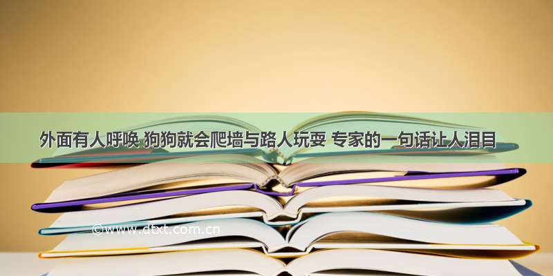 外面有人呼唤 狗狗就会爬墙与路人玩耍 专家的一句话让人泪目