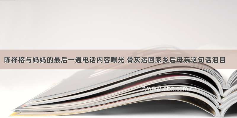 陈祥榕与妈妈的最后一通电话内容曝光 骨灰运回家乡后母亲这句话泪目