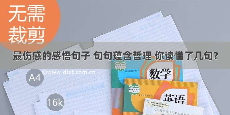 最伤感的感悟句子 句句蕴含哲理 你读懂了几句？